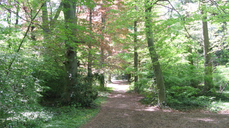 Enlarge photo 11