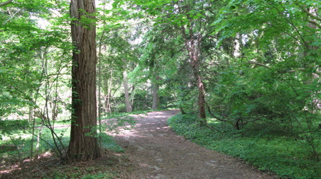 Enlarge photo 12