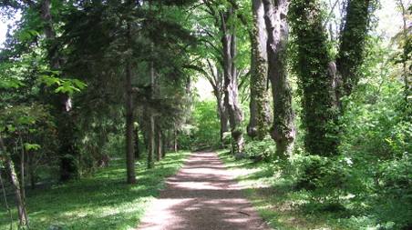 Enlarge photo 13