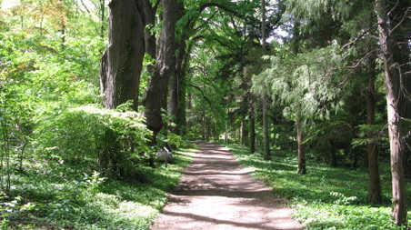 Enlarge photo 14