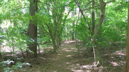 Enlarge photo 15
