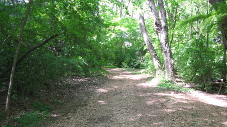 Enlarge photo 16
