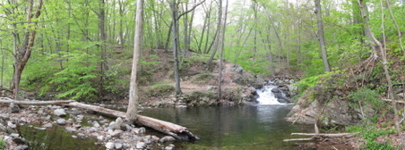 Enlarge photo 9