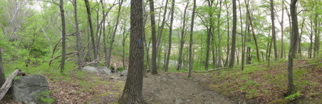 Enlarge photo 10