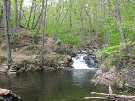 Enlarge photo 2