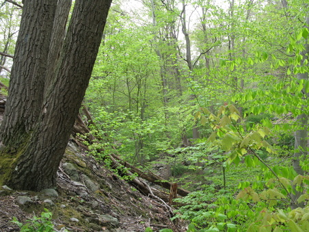 Enlarge photo 7