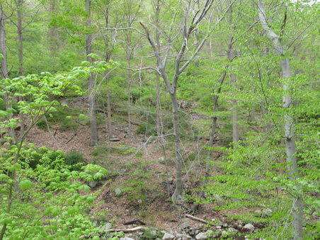 Enlarge photo 8