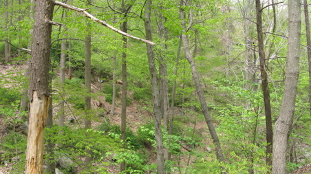 Enlarge photo 12