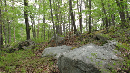 Enlarge photo 13