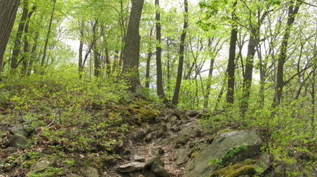 Enlarge photo 14