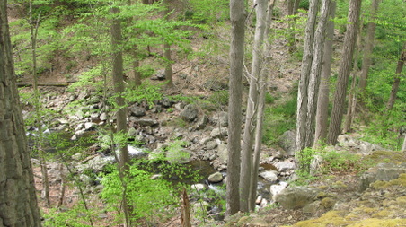 Enlarge photo 15