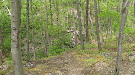 Enlarge photo 16