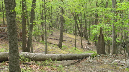 Enlarge photo 18