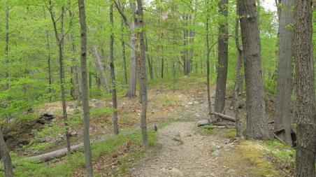 Enlarge photo 21