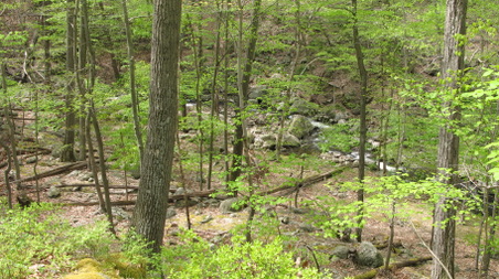 Enlarge photo 23