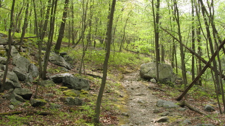 Enlarge photo 24