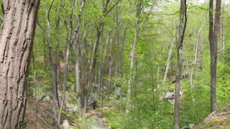 Enlarge photo 25