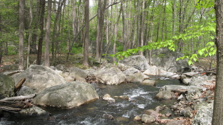 Enlarge photo 27