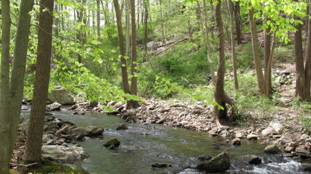 Enlarge photo 28