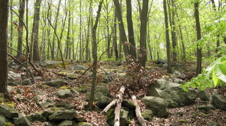 Enlarge photo 29