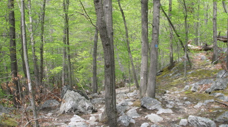 Enlarge photo 31