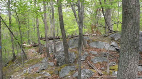 Enlarge photo 32