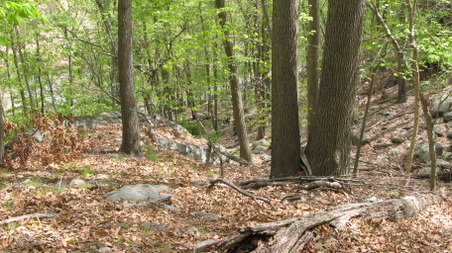 Enlarge photo 33