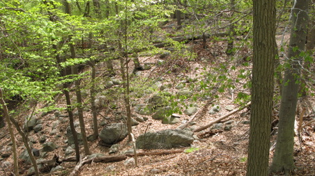 Enlarge photo 34