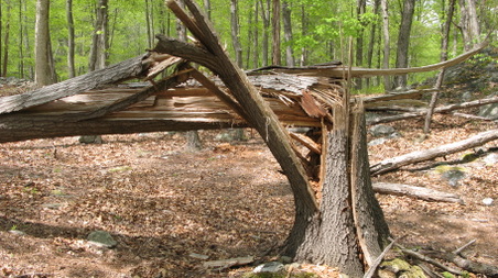 Enlarge photo 35