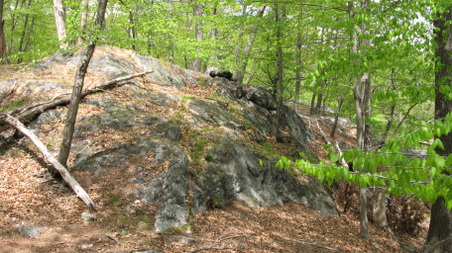 Enlarge photo 36