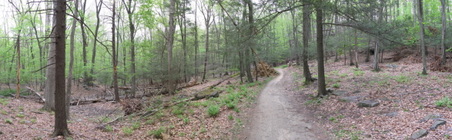 Enlarge photo 9