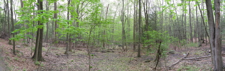 Enlarge photo 8