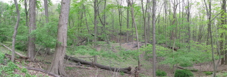 Enlarge photo 28
