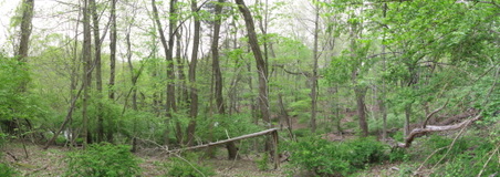 Enlarge photo 29