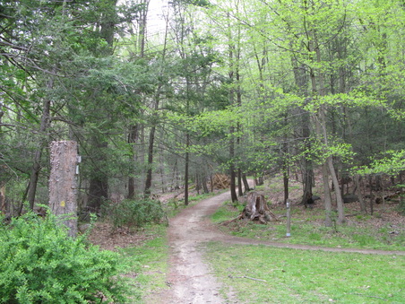 Enlarge photo 5