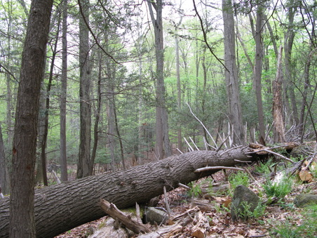 Enlarge photo 7