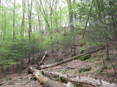 Enlarge photo 10