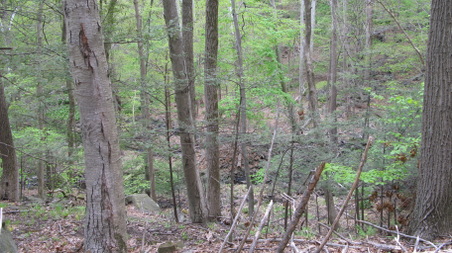 Enlarge photo 22