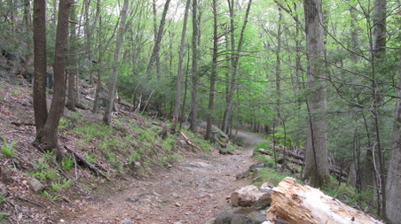 Enlarge photo 24