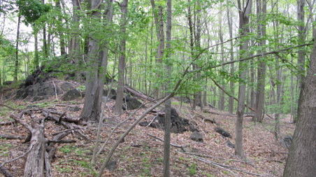 Enlarge photo 30