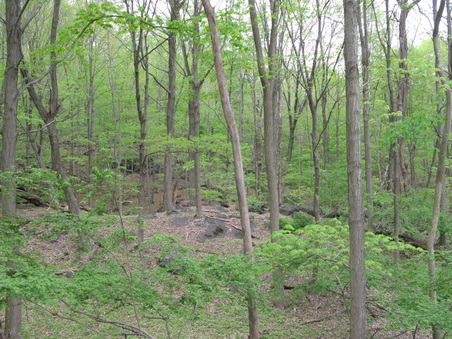 Enlarge photo 33