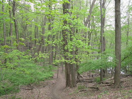 Enlarge photo 34