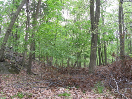 Enlarge photo 38