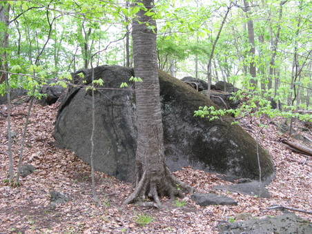 Enlarge photo 39