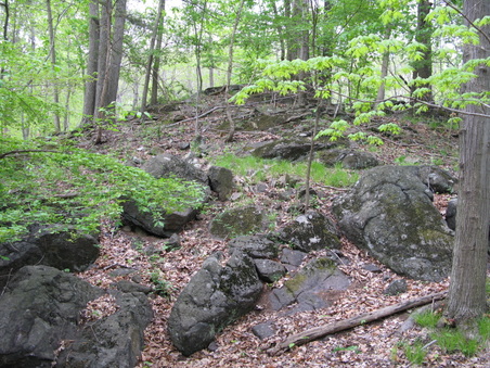Enlarge photo 40