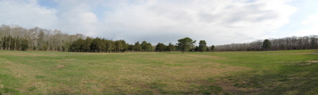 Cathedral Pines County Park