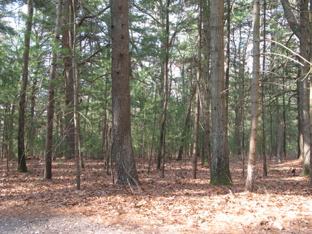 Enlarge photo 17