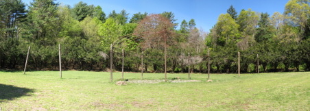 Enlarge photo 15