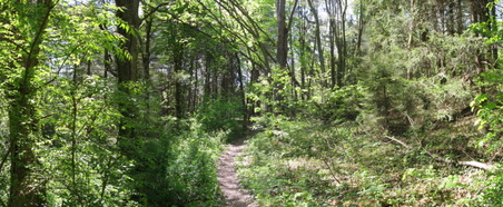Enlarge photo 27