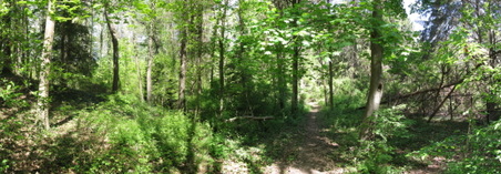 Enlarge photo 26